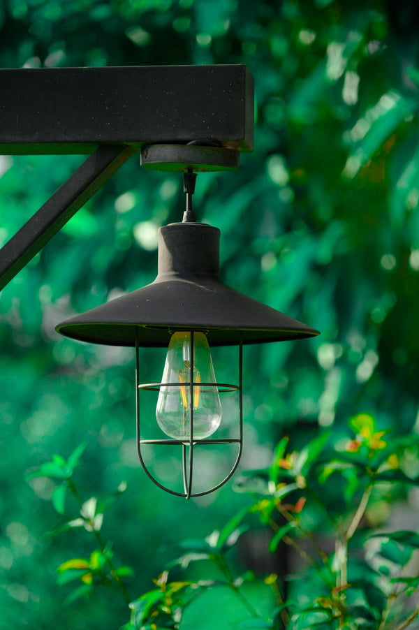 Black outdoor lamp with clear bulb against vibrant green foliage