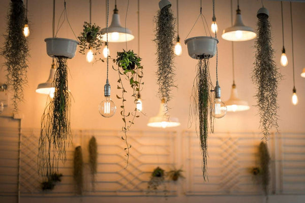 Lighting Fixture Checklist: Picking Pendant Light Fixtures for Luxury Bedroom Lights Online