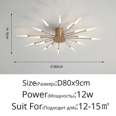 QIYIMEI Modern LED Ceiling Light for Bedroom, Hall, and Living Room