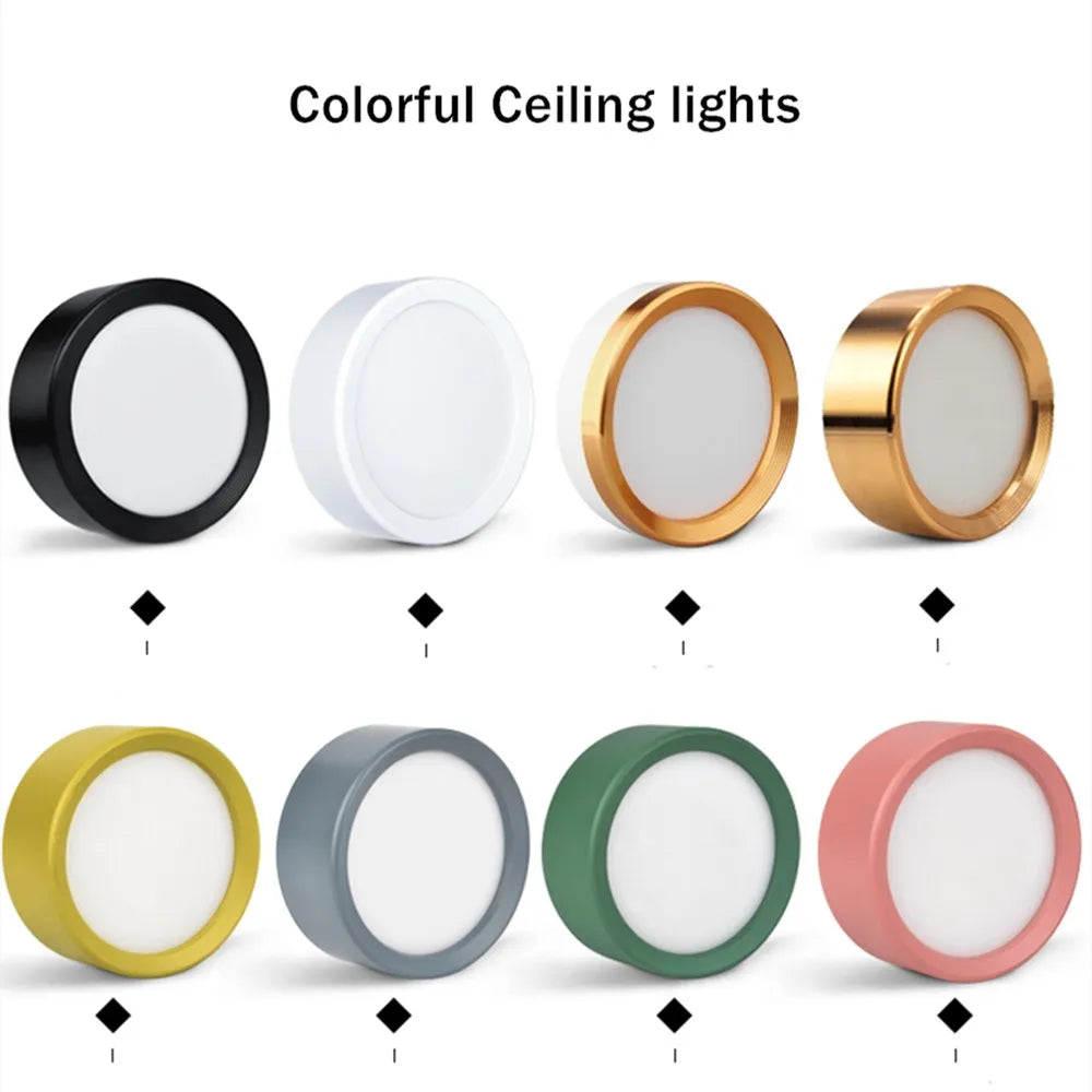 LED Downlight - Modern Colorful Ceiling Lamp for Bedroom and Living Room