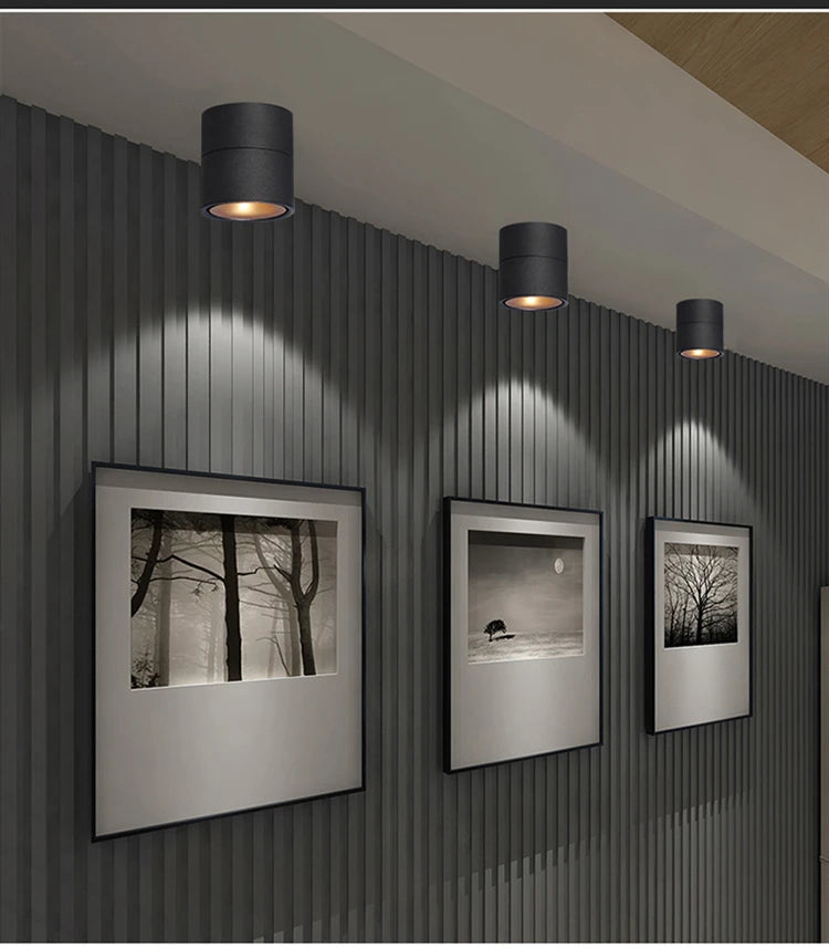 Dimmable 360° Rotatable COB LED Ceiling Light – Surface Mounted Adjustable Spot Downlight