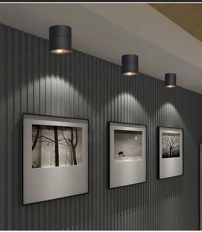 Dimmable 360° Rotatable COB LED Ceiling Light – Surface Mounted Adjustable Spot Downlight