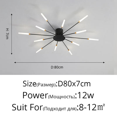 QIYIMEI Modern LED Ceiling Light for Bedroom, Hall, and Living Room