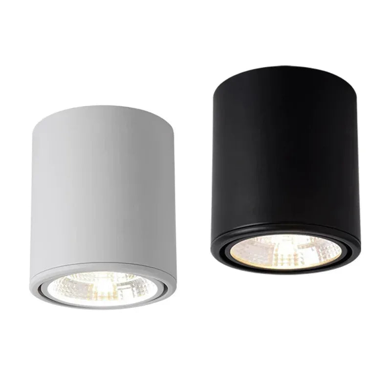 High Quality Rotating LED Downlight COB Surface Mounted Ceiling Lamp 2 ...