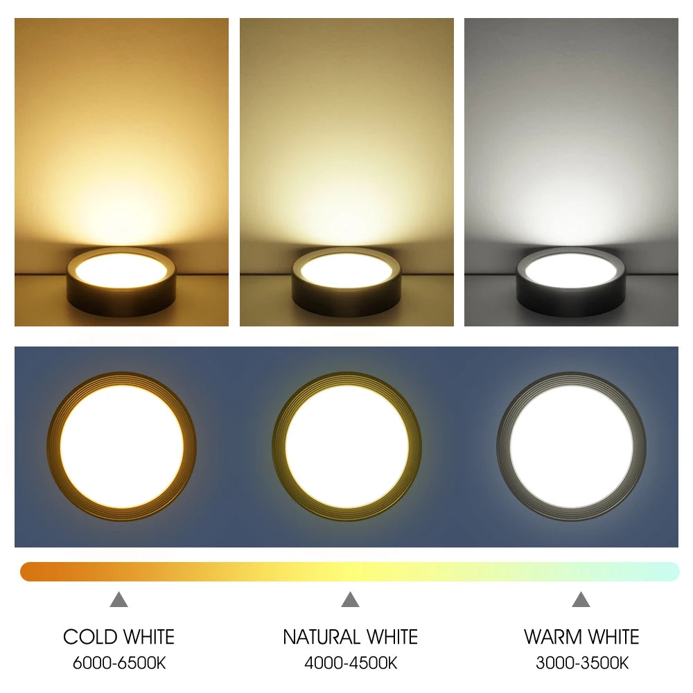 LED Downlight - Modern Colorful Ceiling Lamp for Bedroom and Living Room