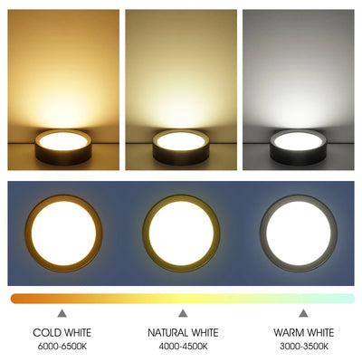 LED Downlight - Modern Colorful Ceiling Lamp for Bedroom and Living Room