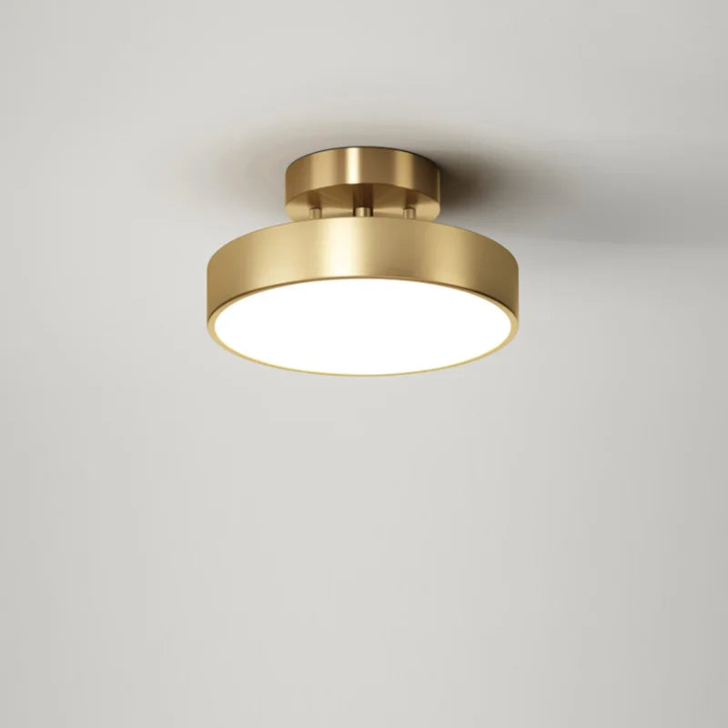 Modern LED Ceiling Chandelier Lights Brass Lamp for Bedroom Decor, Living Room, Kitchen Fixture