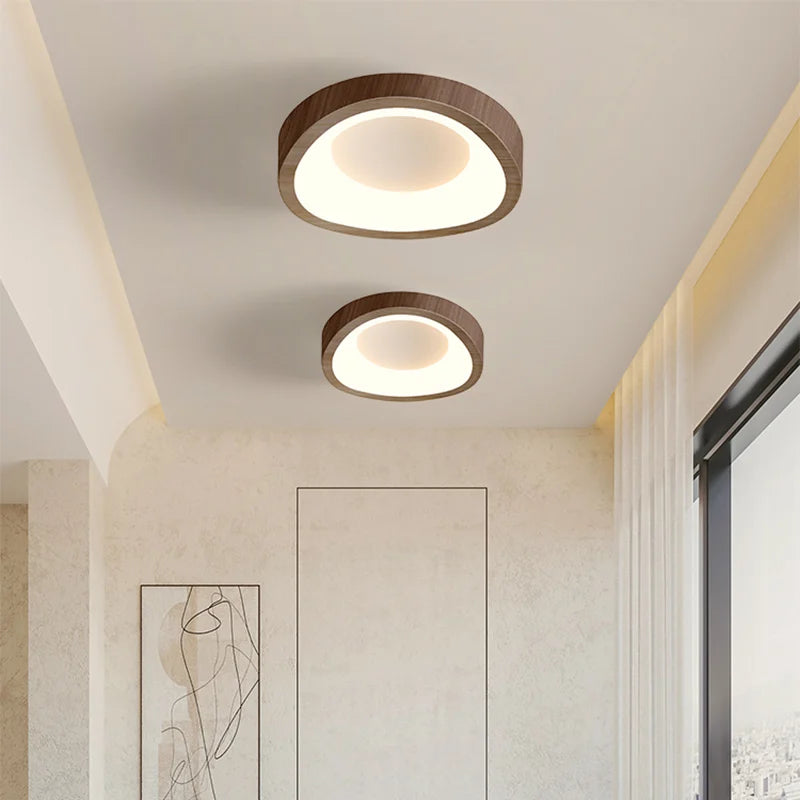 Nordic LED Ceiling Lamp For Living Dining Room Bedroom Aisle Cloakroom Balcony