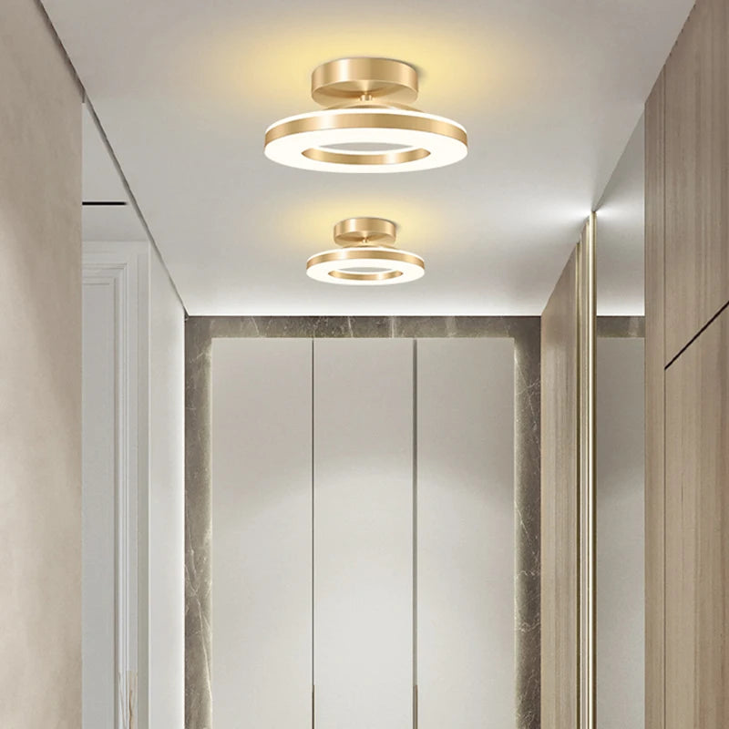 Modern LED Ceiling Lamp for Versatile Indoor Lighting