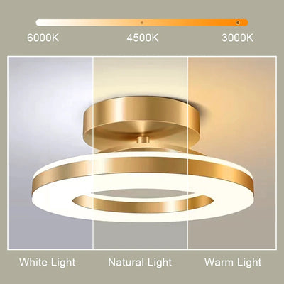 Modern LED Ceiling Lamp for Versatile Indoor Lighting