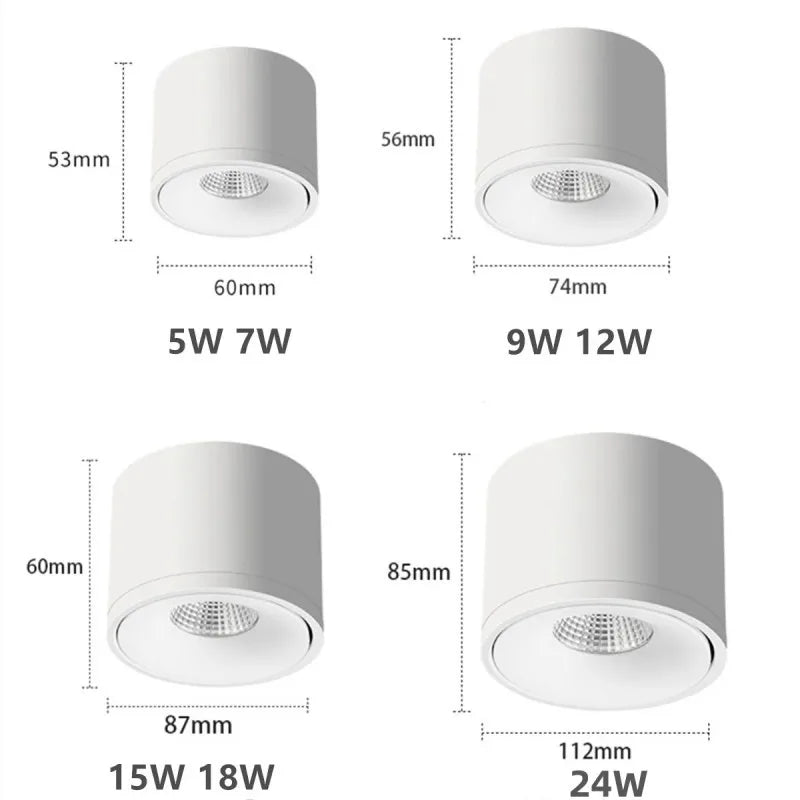 Surface Mounted Dimmable LED Downlight with Rotatable COB Spotlight for Indoor Decoration