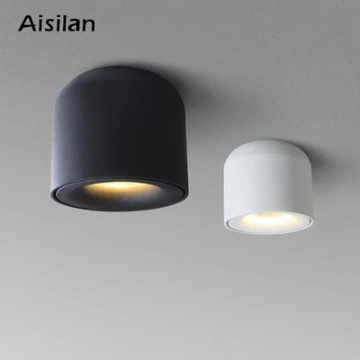 Aisilan Surface Mounted LED Downlight Ceiling Light COB Chip Spot Light for Living Room & Kitchen