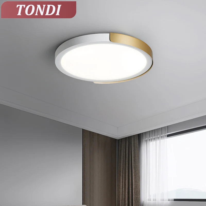 Modern LED Ceiling Light for Bedroom, Dining Hall, Corridor, Aisle, Balcony Lighting Fixtures, Lustre Ring Home Decoration