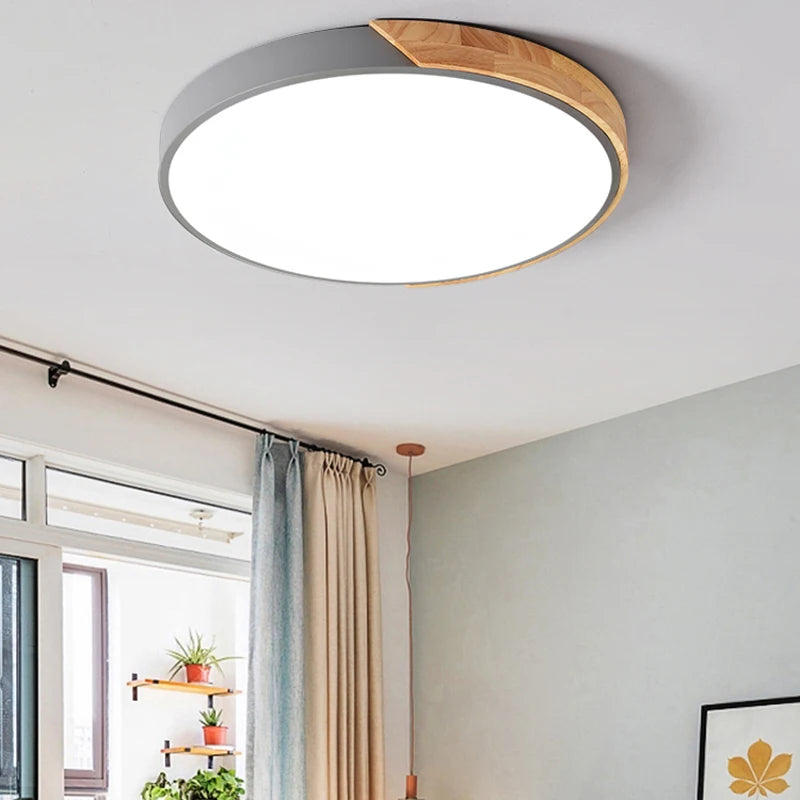 LED Ceiling Light for Room Decoration Bedroom Lamp, Corridor, Balcony Lighting Living Room Chandelier